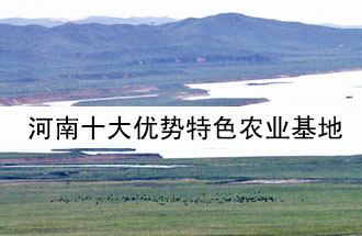 8月19日，河南省政府發(fā)布了關(guān)于深入推進農(nóng)業(yè)供給側(cè)結(jié)構(gòu)性改革 大力發(fā)展優(yōu)勢特色農(nóng)業(yè)的意見